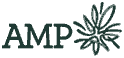 AMP